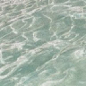 Meet your Posher, Evelyn